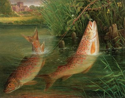 Trout at Winchester by Valentine Thomas Garland